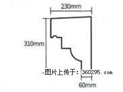 产品分解图型 - 檐口线，型号：SX311-YK-3，规格：230x310mm(3) - 清远三象EPS建材 qingyuan.sx311.cc